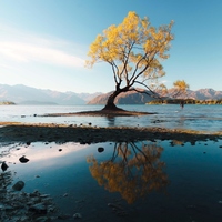 Wallpaper - Lake in NZ 4