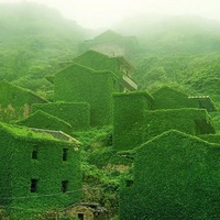 Nature reclaims abandoned fishing village in China