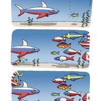 here fishy fishy fishy
