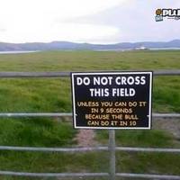 Do not cross this field