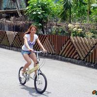 bicycle seat?