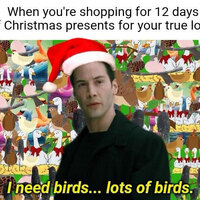 Tis the season