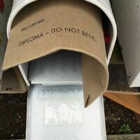 USPS nailed it