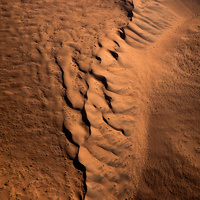 The Spine by Mikkel Beiter