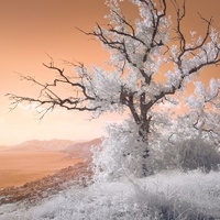The edge of dreams by Giovanni Allievi