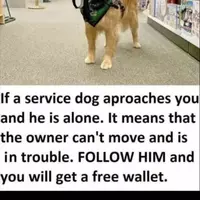 Important life lessons 
