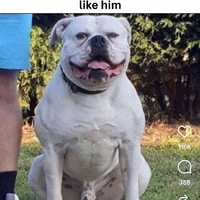 Why...