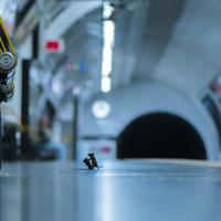 Mouse fight on the London Underground
