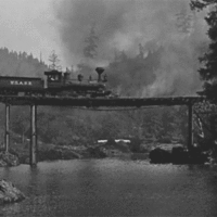 train bridge collapse