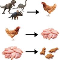 It's the circle of life