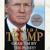 Trump's new book 