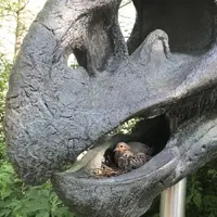 Full circle 