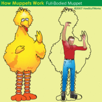 How to be a muppet