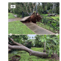 Cyclone fina the morning after