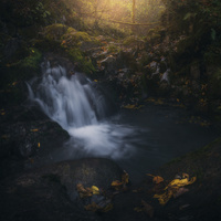Autumn Falls Silent by Thomas De Franzoni