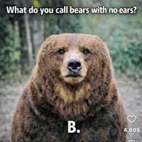 Say what?