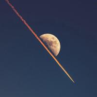 Moonshot