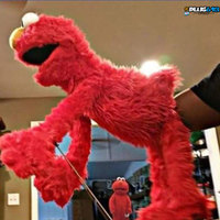 Elmo is freaking out!
