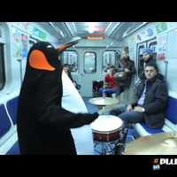 Penguin drumming on the train