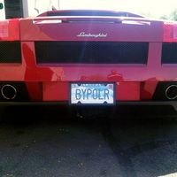 Pulses new whip