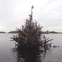 Interesting flagpole in the river