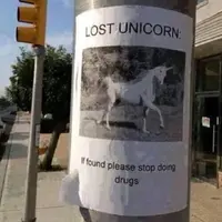 Lost unicorn 