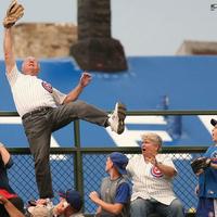 65 year old Man Catching a homerun ball in front of the railings in the Wrigley 