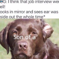 Job interviews be like