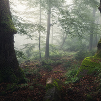 The Dialog by Benjamin Höger