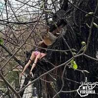 Perv squirrel