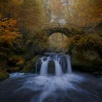 Autumn Stopover by Hugo Valle