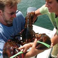 17-pound lobster