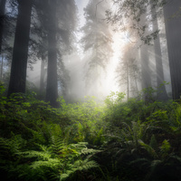 Greeting the Sun by Yuriy Garnaev