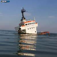 "Fortuna" sinking, Black Sea