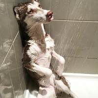 Chilling in the shower
