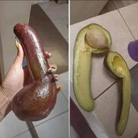 Nuts  