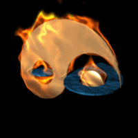 Yin Yang Fire Water Animated