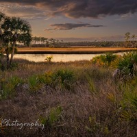St. Marks National Wildlife Refuge, Florida