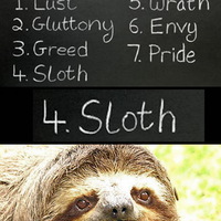 sloth...