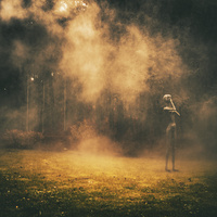Silent Pour by Timo Schakau