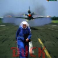   duck two