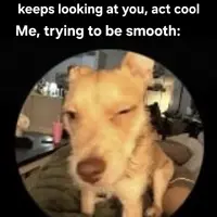 Be cool bro