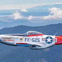 P-51 Level Flight by Deon W