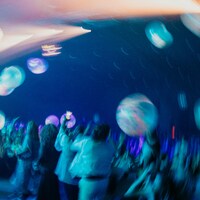 Blurred crowd at a concert with glowing lights by Luigi Ritchie