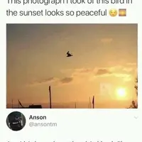 I am also high. And yes. 