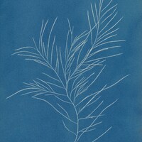 White botanical silhouette on a blue background by The Metropolitan Museum of Art