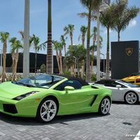 Which Lamborghini should I take?