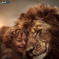 lion and king