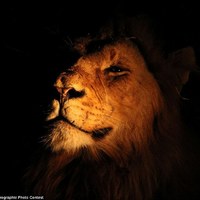 2012 National Geographic photography competition 05