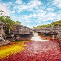 Caño Cristales River, Colombia